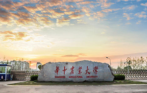 华农实验室纯水系统招标恭喜意昂4中标