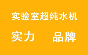 实验室超纯水机国内实力品牌