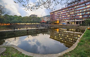 恭喜地质大学朱斌教授团队成果发表