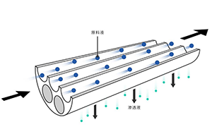 超纯水机使用了UF超滤膜后仍然检测到了内毒素